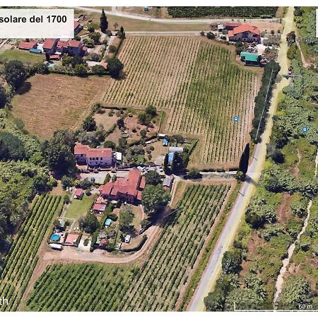 Le Rose , Relax In Casolare Del 1700 Apartment ซาร์ซานา ภายนอก รูปภาพ
