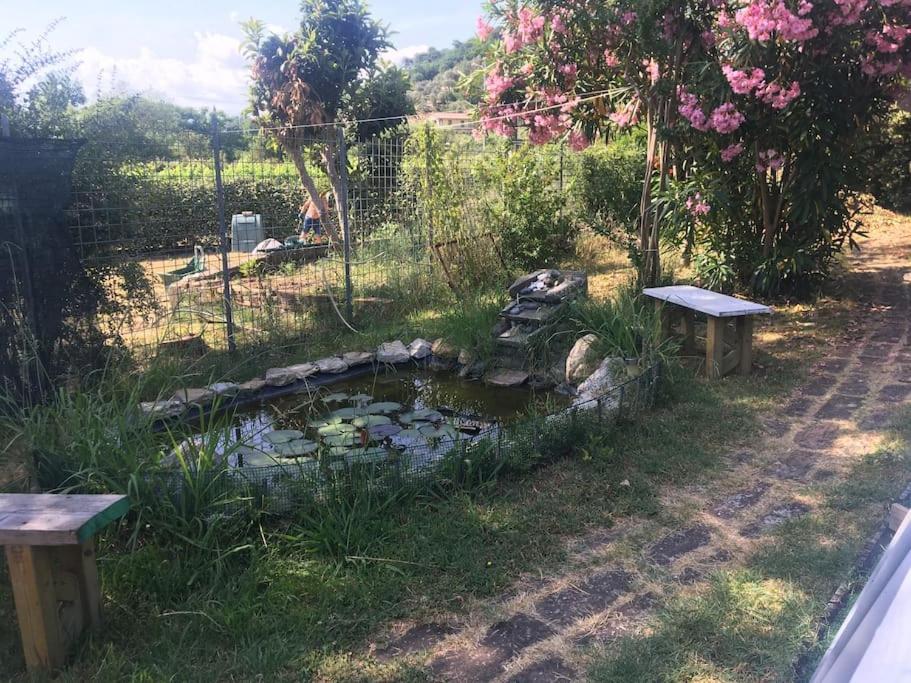 Le Rose , Relax In Casolare Del 1700 Apartment ซาร์ซานา ภายนอก รูปภาพ